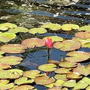 Meet your Posher, Ellye